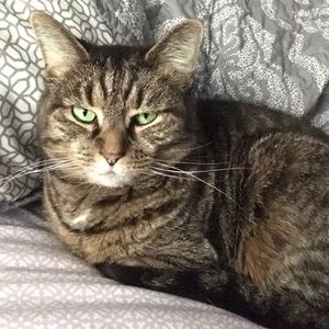 Meet your Posher, Cindy